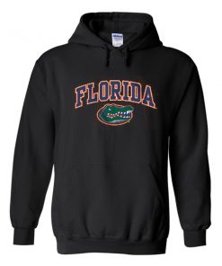 florida gators hoodie