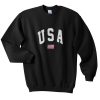 USA Flag Sweatshirt