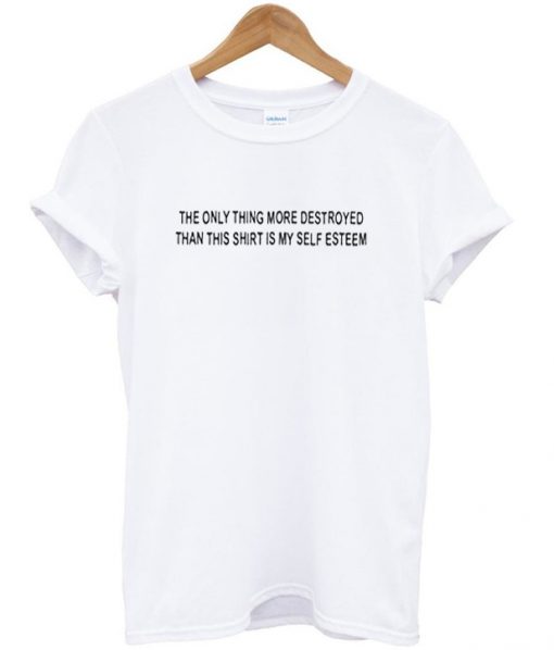 The only thing more destroyed T-Shirt