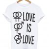 love is love t-shirt