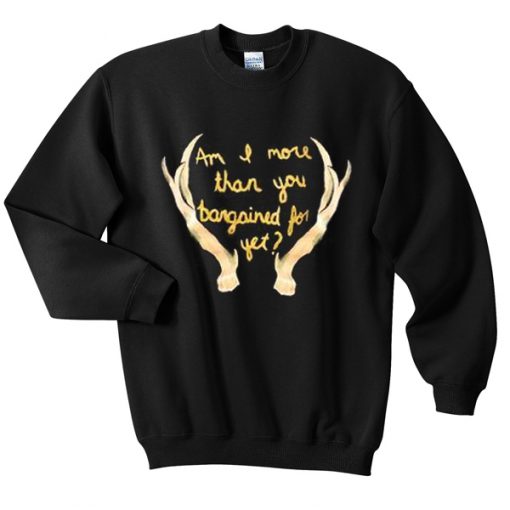 Im I More Than You Bargained For Yet Sweatshirt