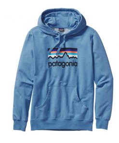 patagonia hoodie