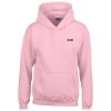 i'm a gay hoodie