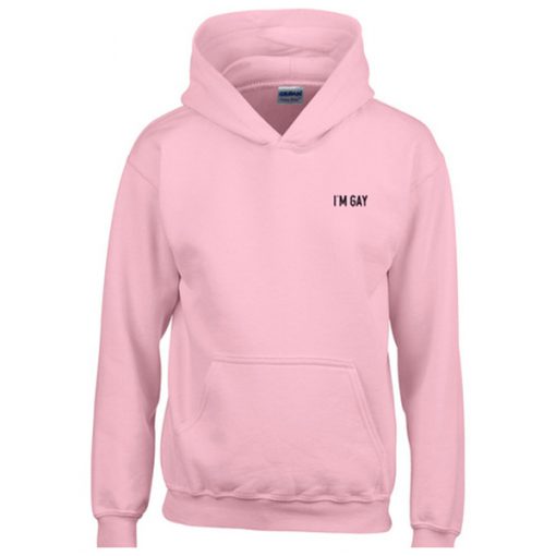 i'm a gay hoodie