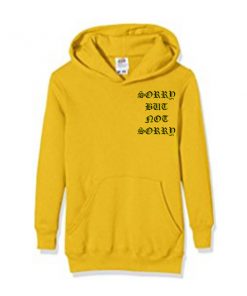 sorry but not sorry hoodie