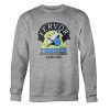 the boy is on a skateboard fervor sweatshirt