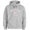 hollister 1922 hoodie