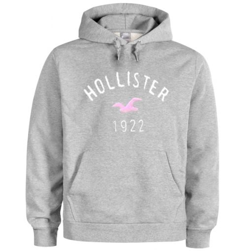 hollister 1922 hoodie