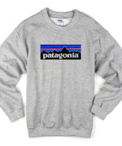 patagonia sweatshirt