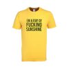 i'm a ray of fucking sunshine tshirt