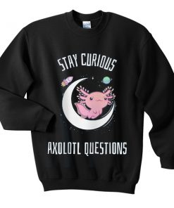 stay curious sweatshirt