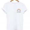 love wins t-shirt